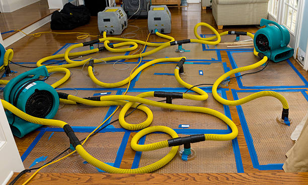 Professional Structural Drying And Dehumidification technician working in Houston, OH